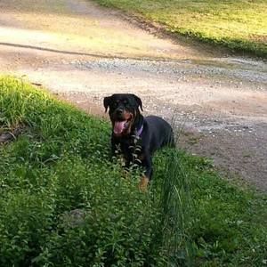 Meet your Posher, Tina